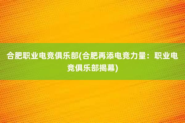 合肥职业电竞俱乐部(合肥再添电竞力量：职业电竞俱乐部揭幕)