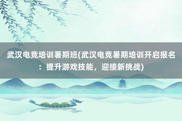 武汉电竞培训暑期班(武汉电竞暑期培训开启报名：提升游戏技能，迎接新挑战)