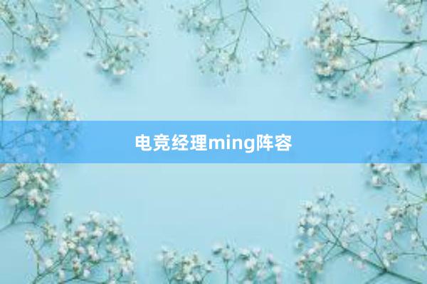 电竞经理ming阵容