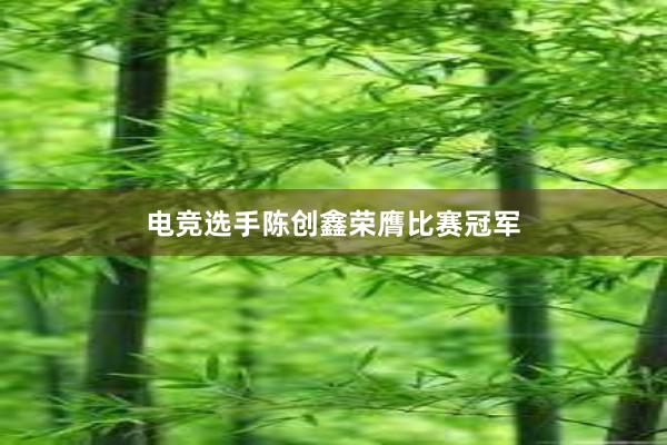 电竞选手陈创鑫荣膺比赛冠军